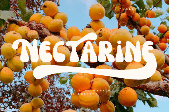 Nectarine: A Cool and Retro Display Font for Creative Projects